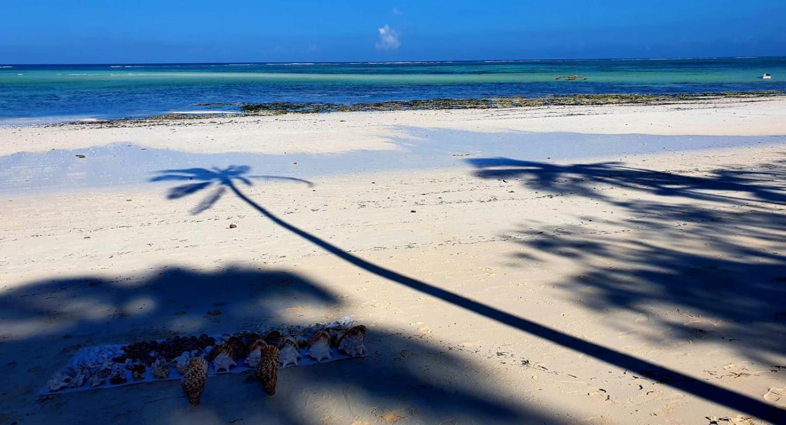 Lazy Beach House キウェンワ エクステリア 写真