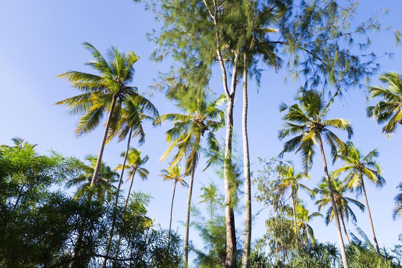 Lazy Beach House キウェンワ エクステリア 写真